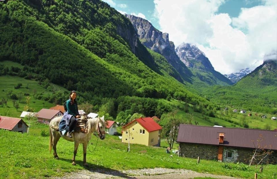 Dedushi Guesthouse &Wood Cabins-Camping Place Gusinje Buitenkant foto